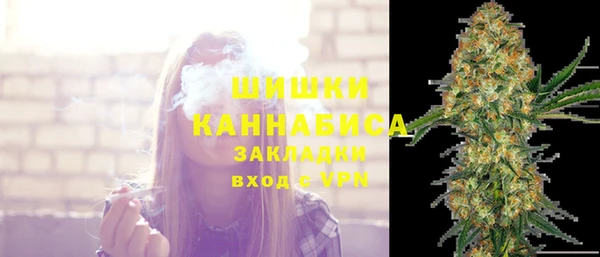 винт Надым
