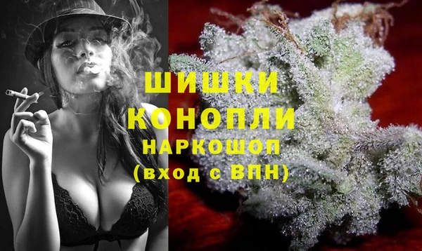 винт Надым