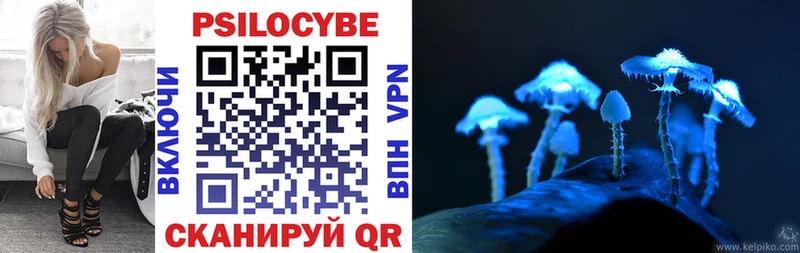 MEGA tor  Александровское  Галлюциногенные грибы MAGIC MUSHROOMS 