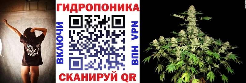 Бошки марихуана AK-47  продажа наркотиков  Александровское 